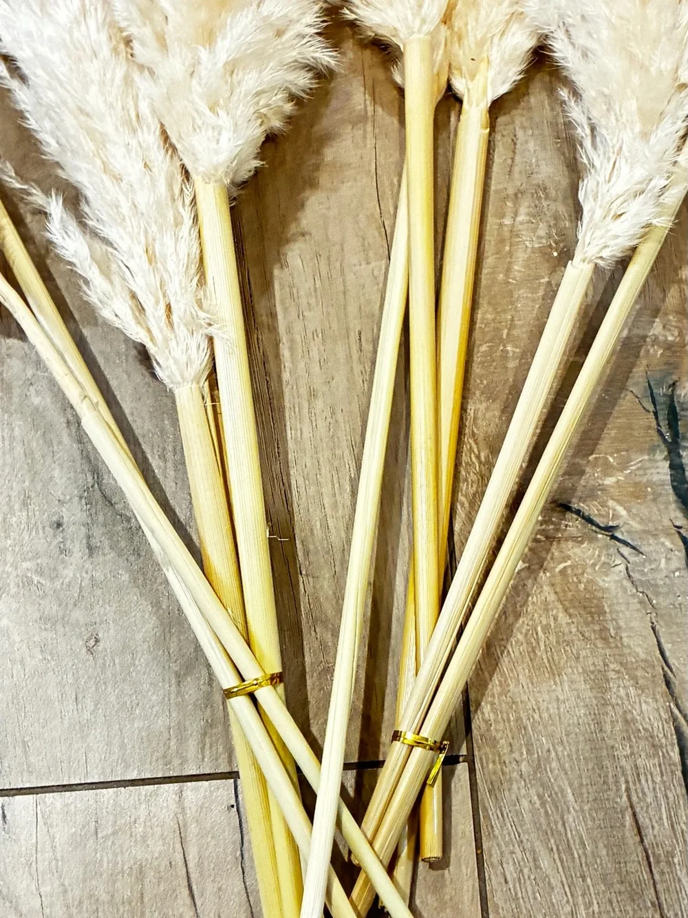 Decorative Pampas Grass Bouquet in Cream - Home Accents. Stems only.